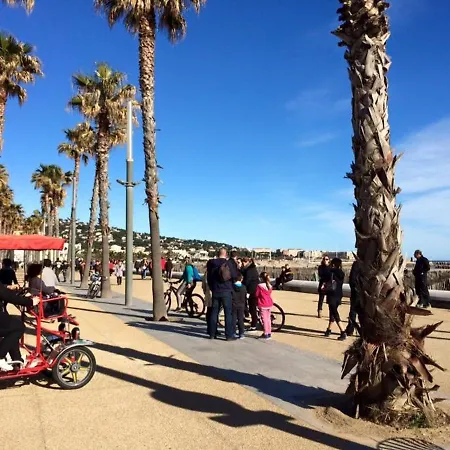 アパート 2 Pieces En Bord De Avec Parking Prive A - Fr-1-338-409 *